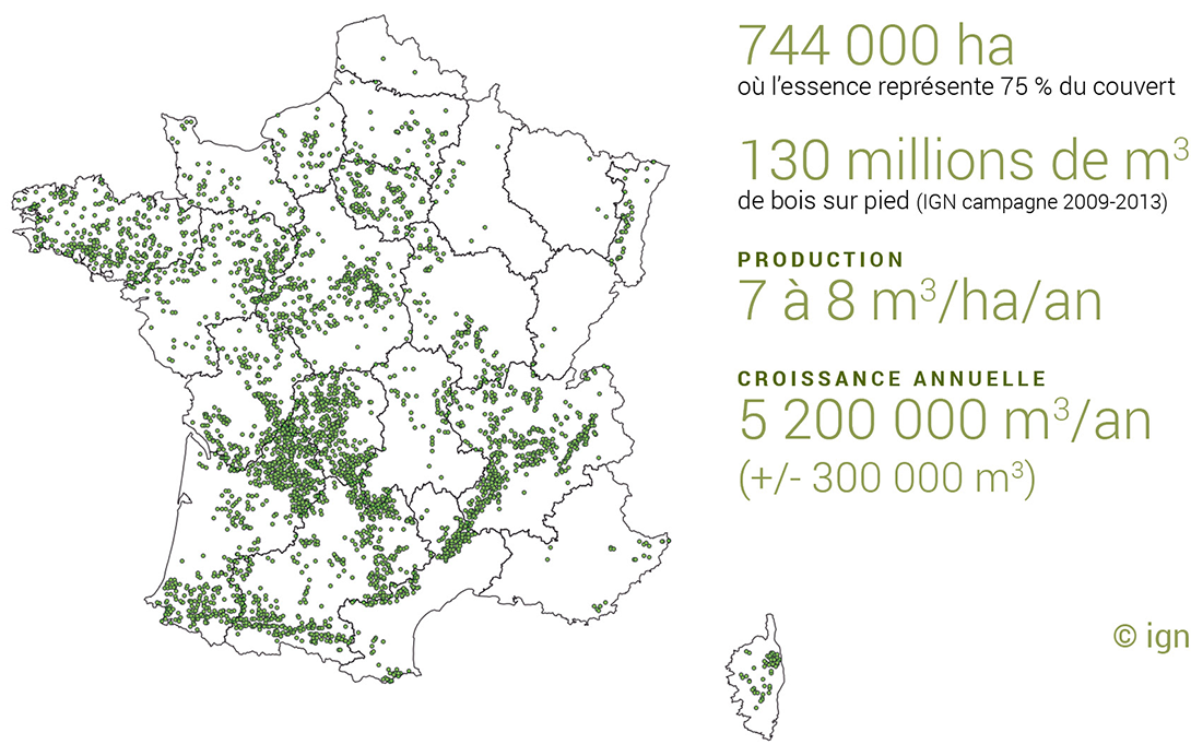 744 000 ha
                 où l’essence représente 75 % du couvert
                 130 millions de m3
                 de bois sur pied (IGN campagne 2009-2013)
                 Product i o n
                 7 à 8 m3/ha/an
                 c r o i s s a n c e a n n u e l l e
                 5 200 000 m3/an
                 (+/- 300 000 m3)